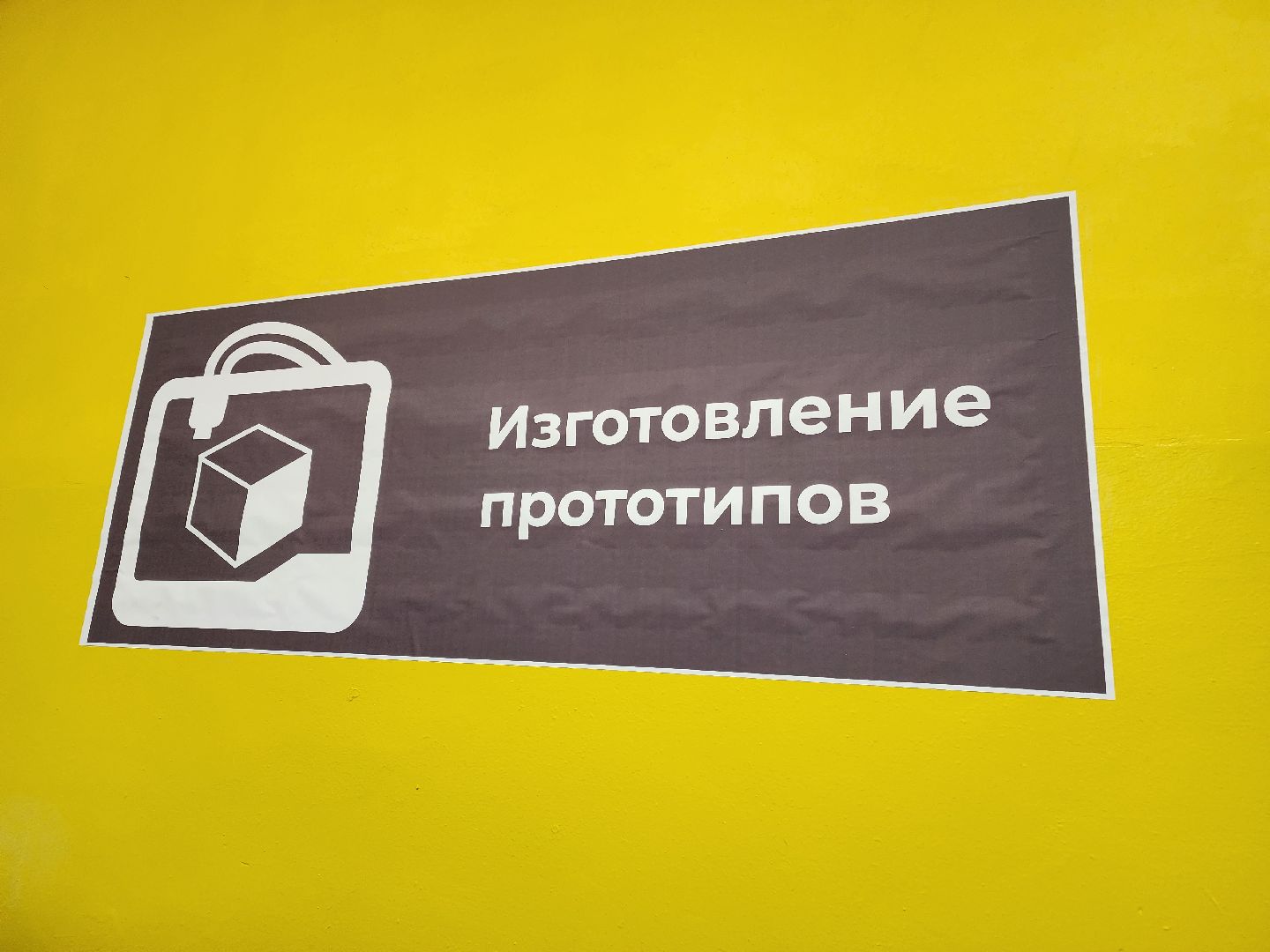 день студента, образование, наука,