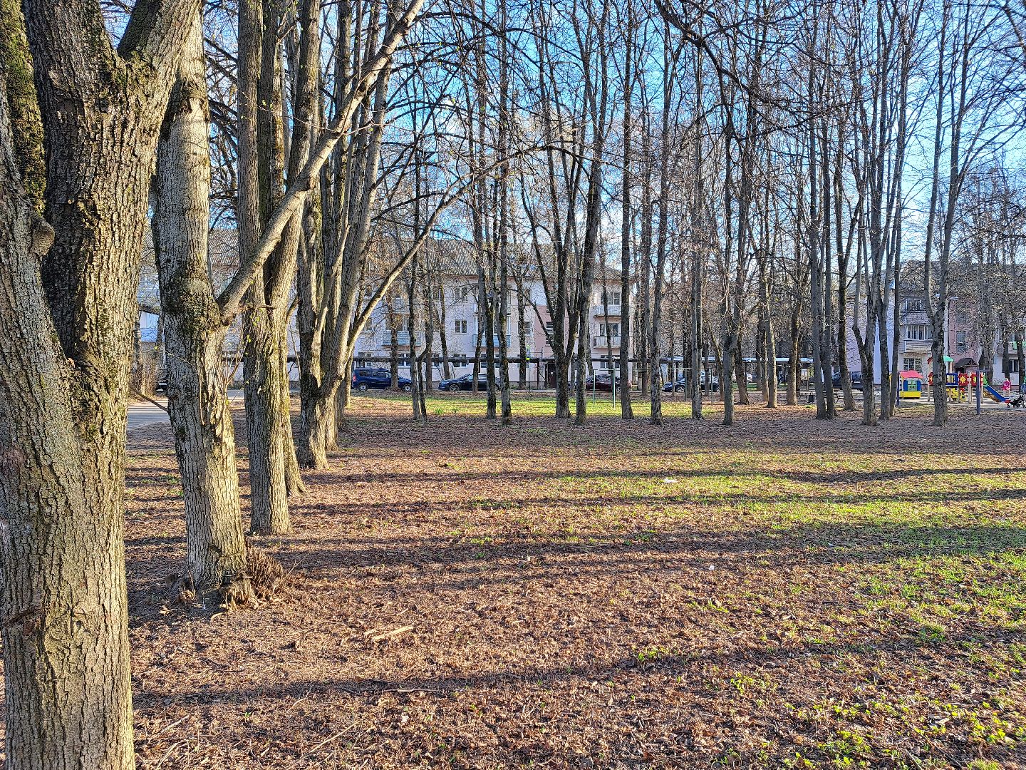 Рузский городской округ, Тучково, парк, сквер, благоустройство, голосование