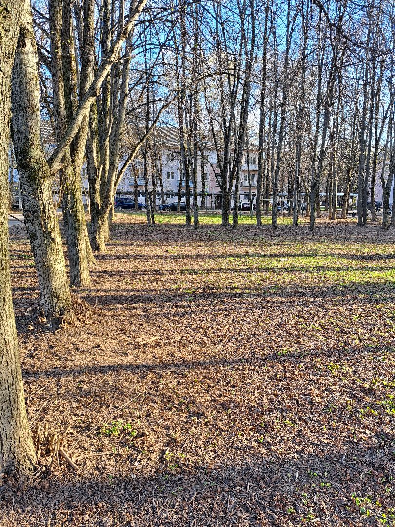 Рузский городской округ, Тучково, парк, сквер, благоустройство, голосование