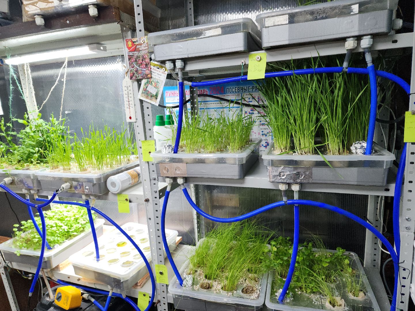 Подольск, Школа 29 имени Забродина, Инженерный класс, Семинар,