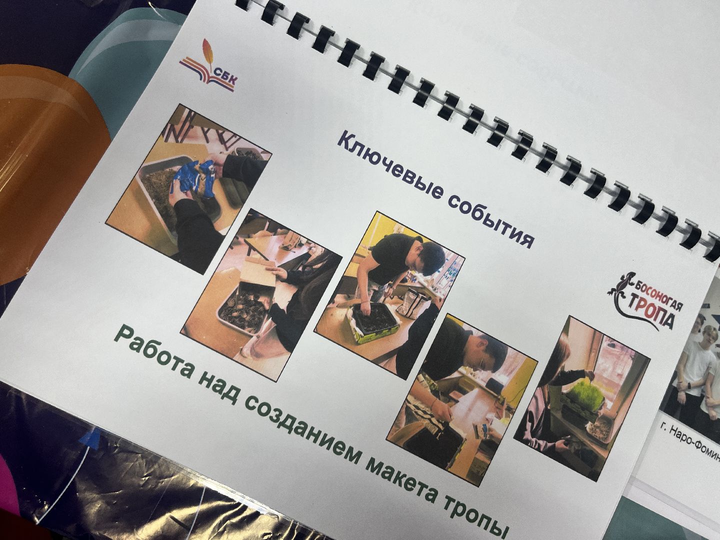 наро-фоминск, СБК, КОЛЛЕДЖ НАРО-ФОМИНСКА, татьянин день, студенческая жизнь, наро-фоминский городской округ, вертикалки,