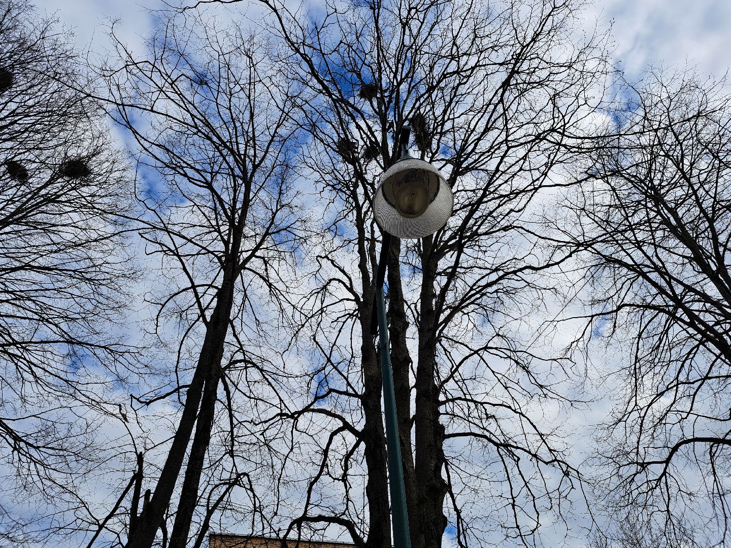 Рузский городской округ, благоустройство, линии освещения, фонари, свет, Светлый город