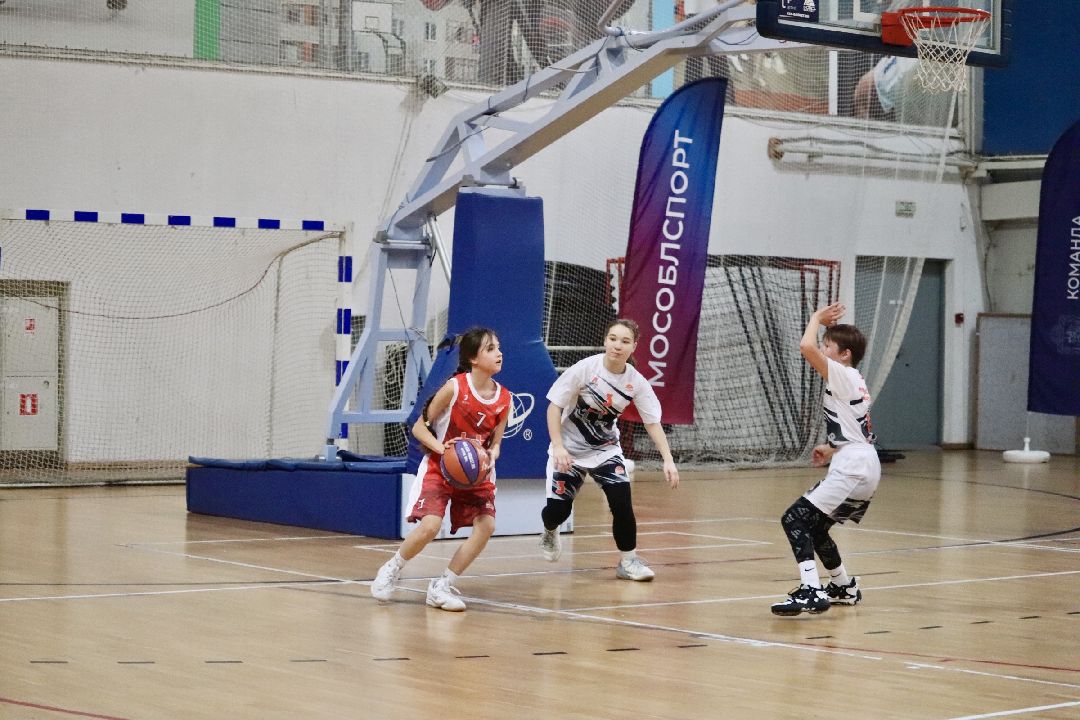 Фрязино, общество