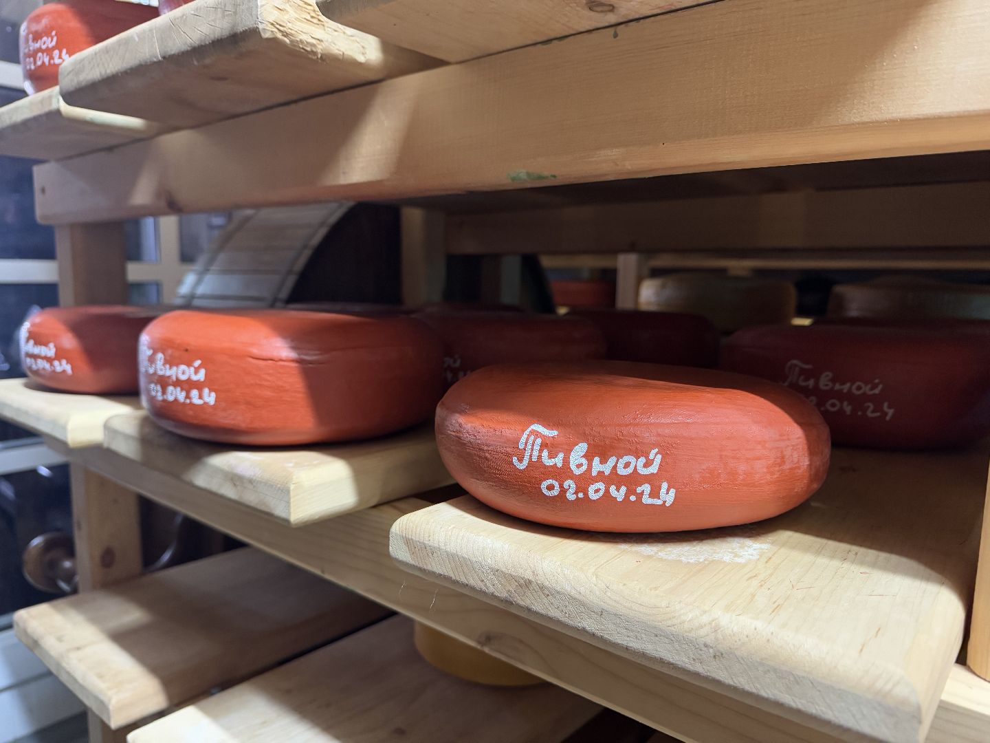 шаховская, сыроварня, сыроварня в шаховской, сыроварня ройгас, вертикалки,