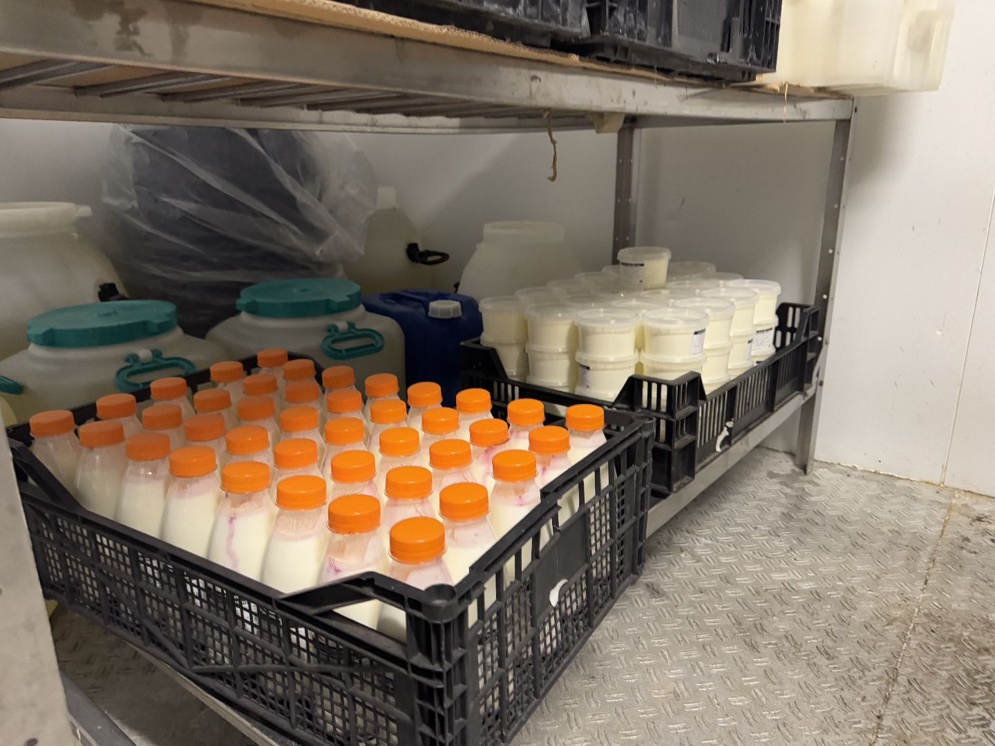 шаховская, сыроварня, сыроварня в шаховской, сыроварня ройгас, вертикалки,