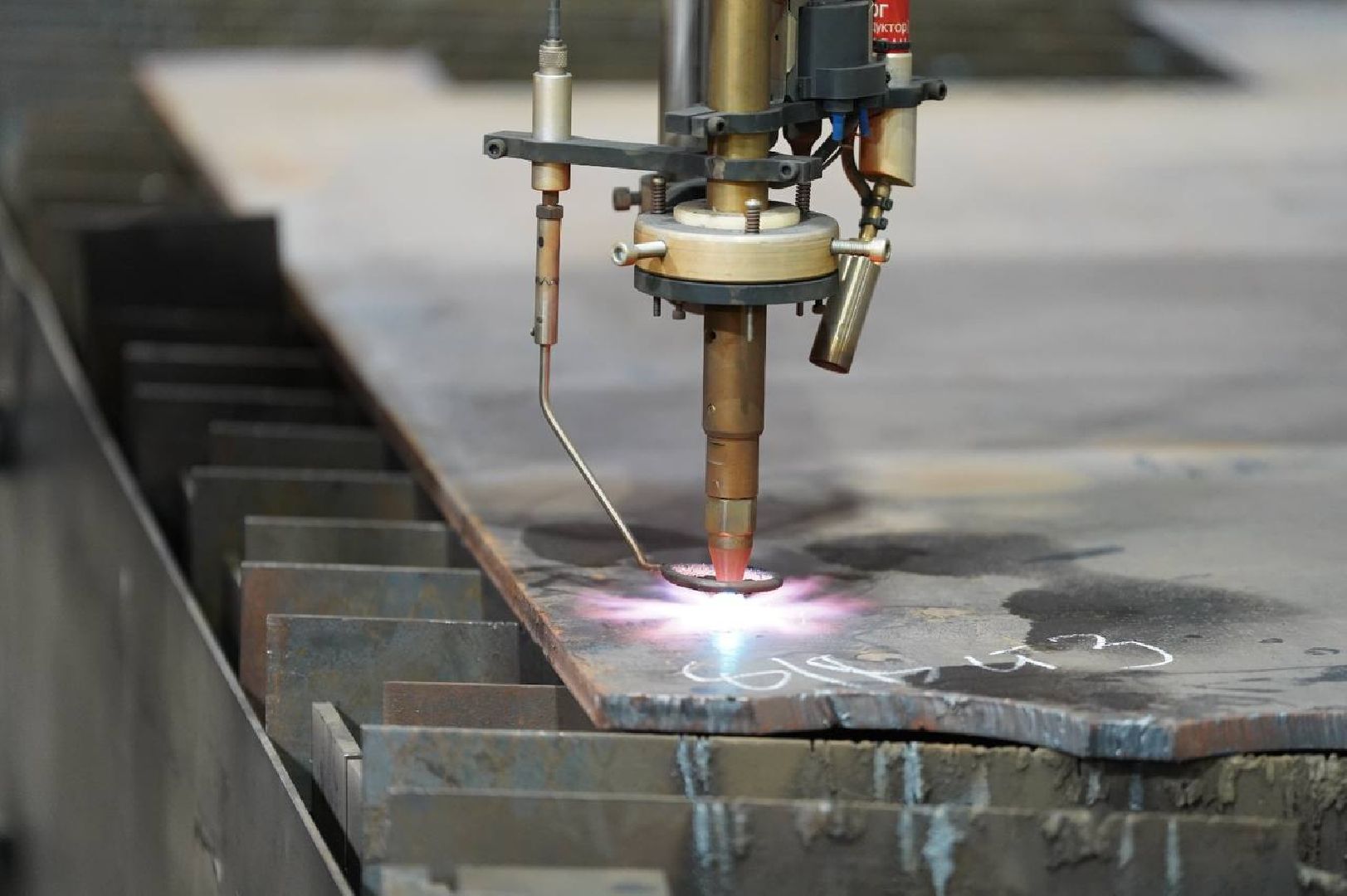 воскресенск, образование, день студента,