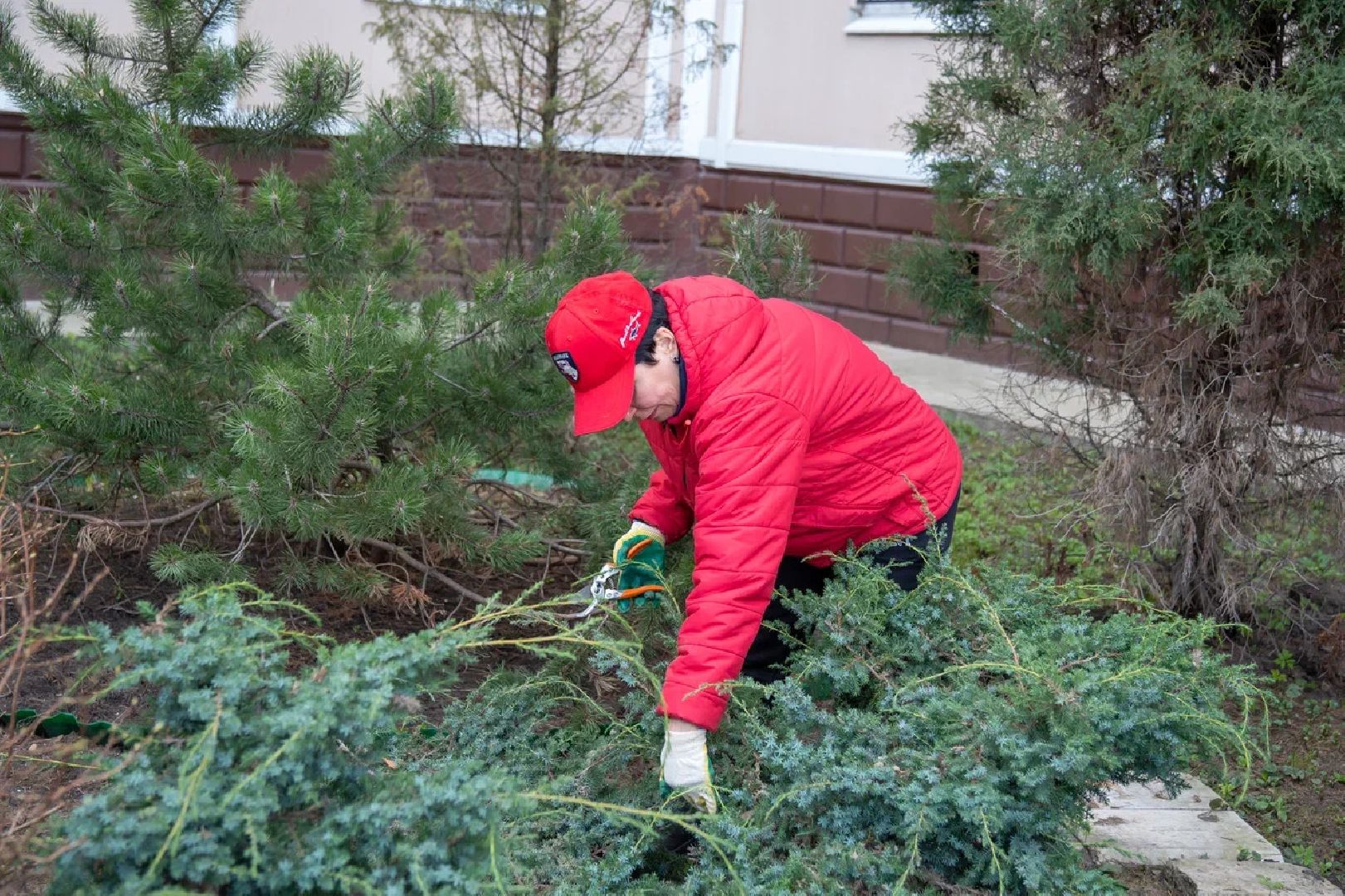 Субботник, благоустройство, Орехово-Зуево, двор