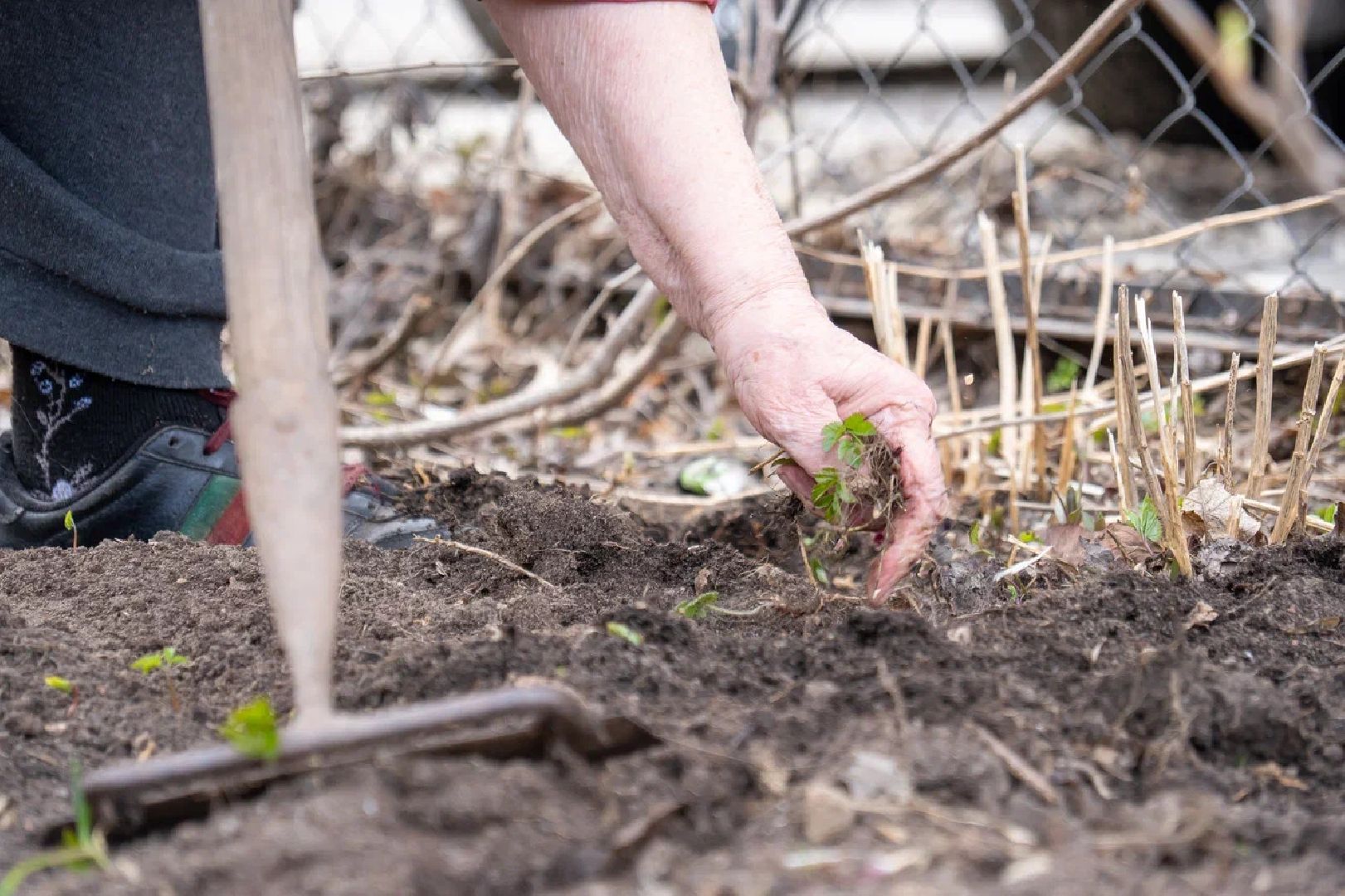 Субботник, благоустройство, Орехово-Зуево, двор