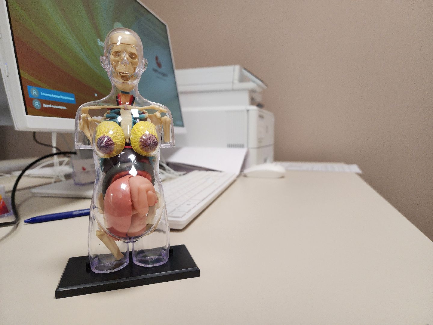 красногорск, мать и дитя, рождаемость, медицина, вертикалки,