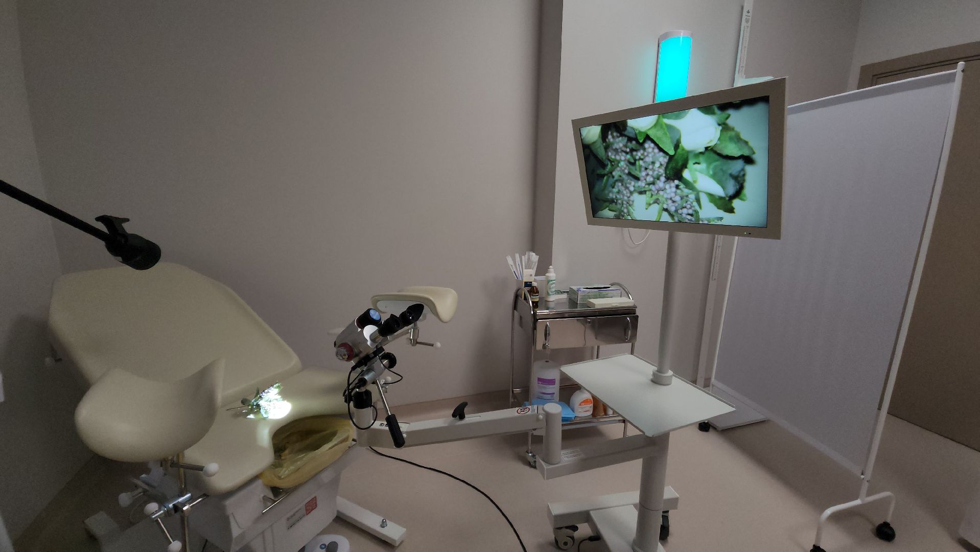 красногорск, мать и дитя, рождаемость, медицина, вертикалки,