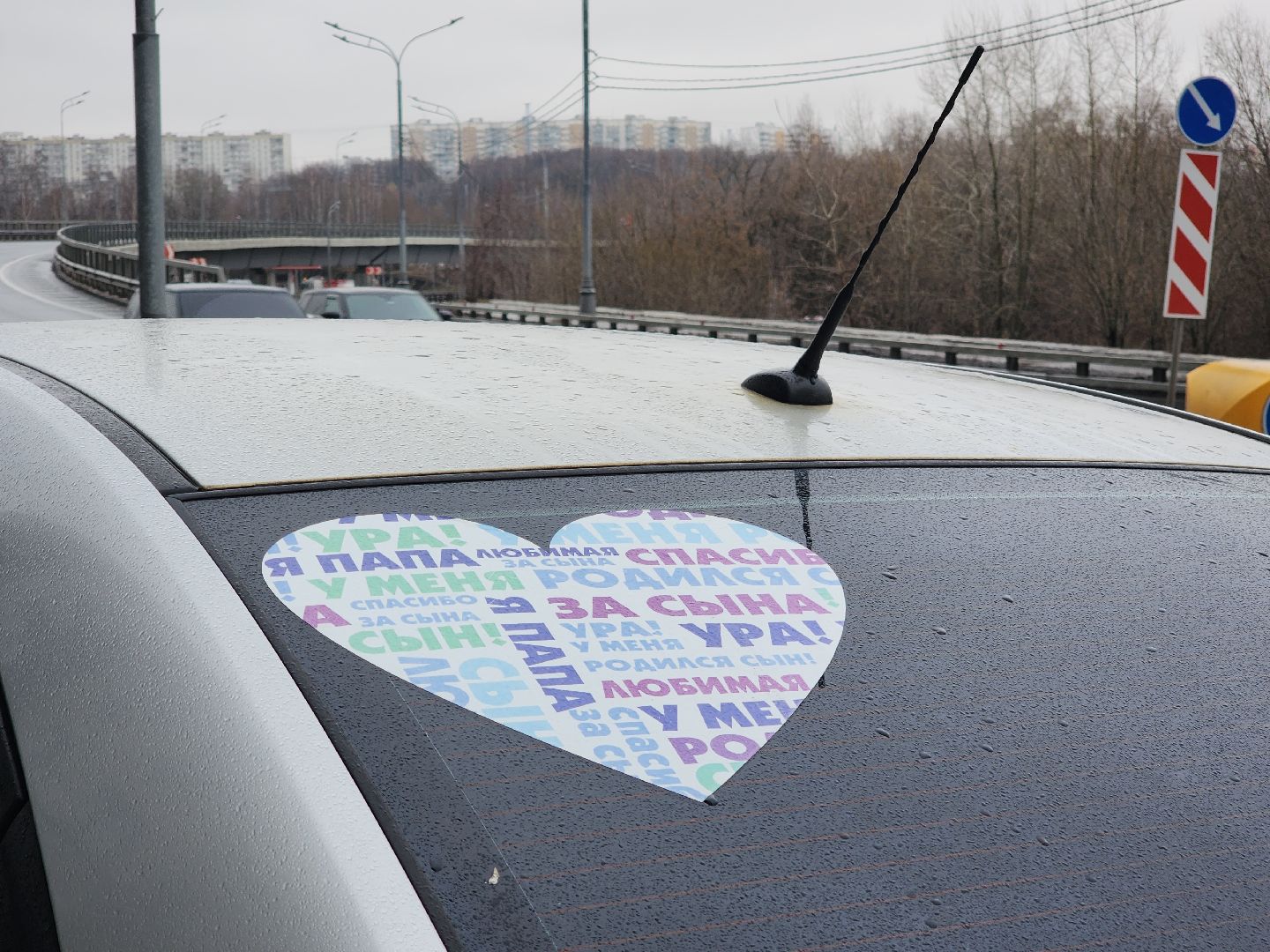 красногорск, мать и дитя, рождаемость, медицина, вертикалки,