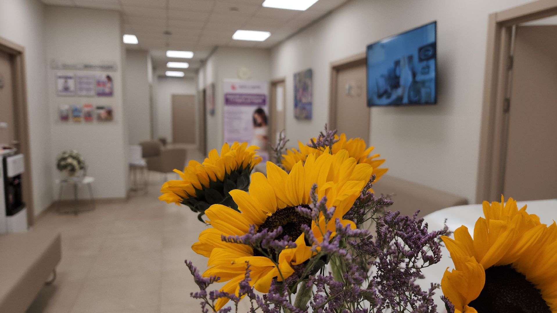 красногорск, мать и дитя, рождаемость, медицина, вертикалки,