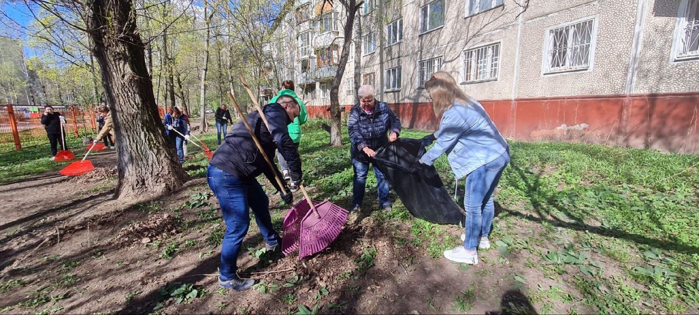 Реутов, субботник, детские сады, уборка, листва, окна