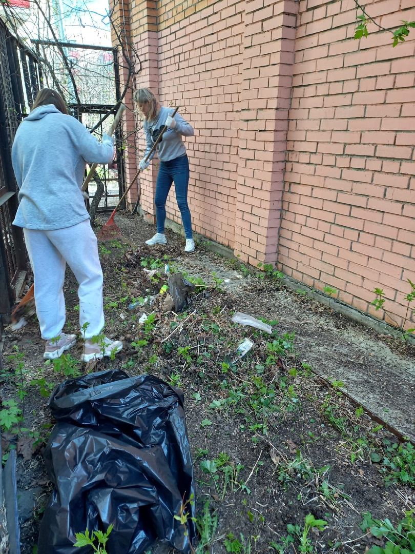 Реутов, субботник, детские сады, уборка, листва, окна