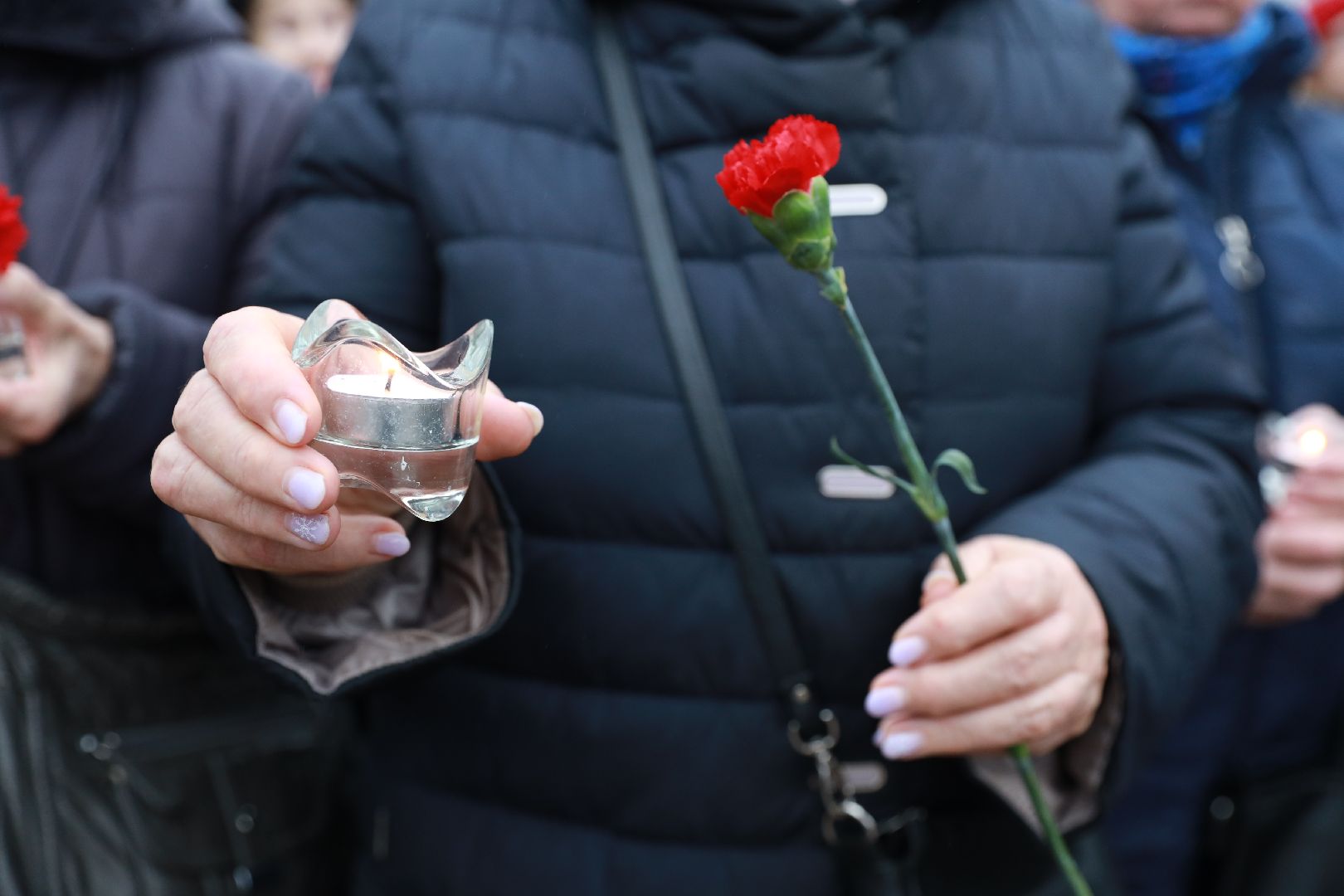 память, ленинград, блокада, вертикалки,