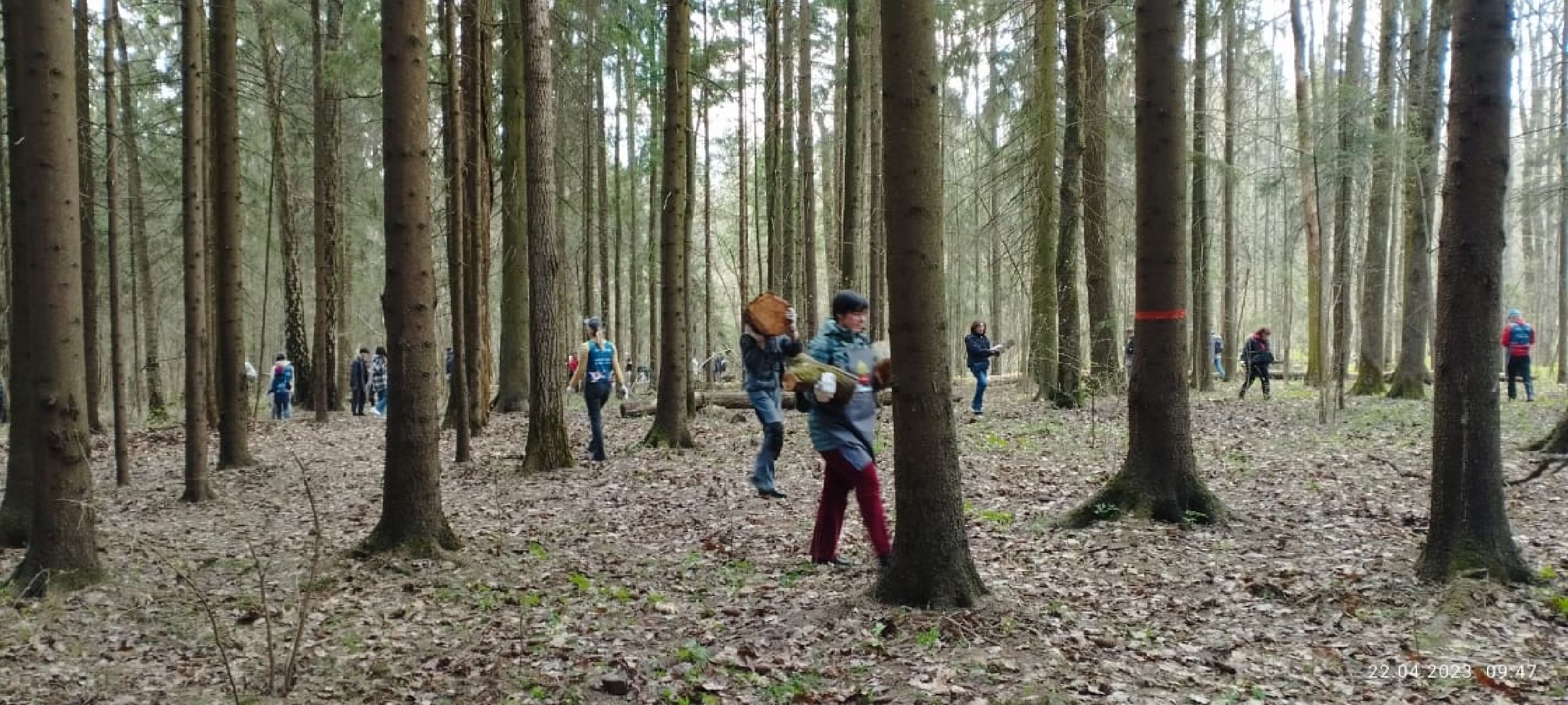 Одинцово, Субботник, Парк, Подмосковье