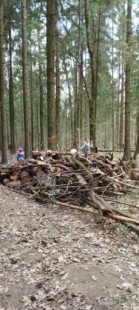 Одинцово, Субботник, Парк, Подмосковье