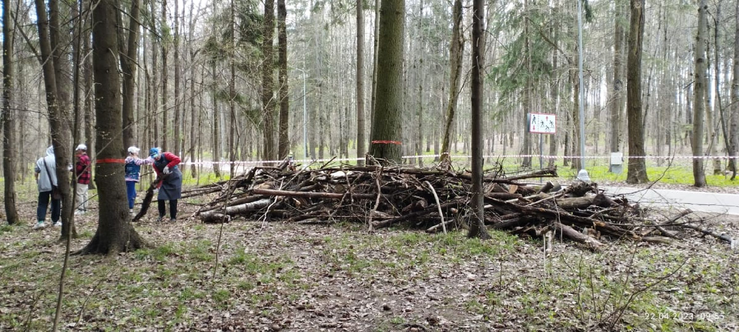 Одинцово, Субботник, Парк, Подмосковье