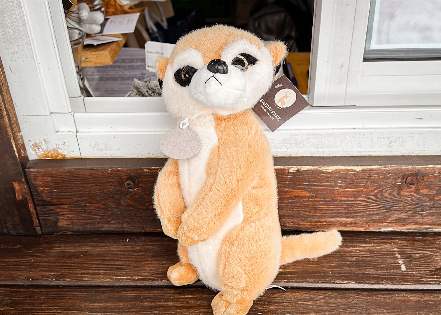 Клин, общество, животные, спасли суриката, вертикалки