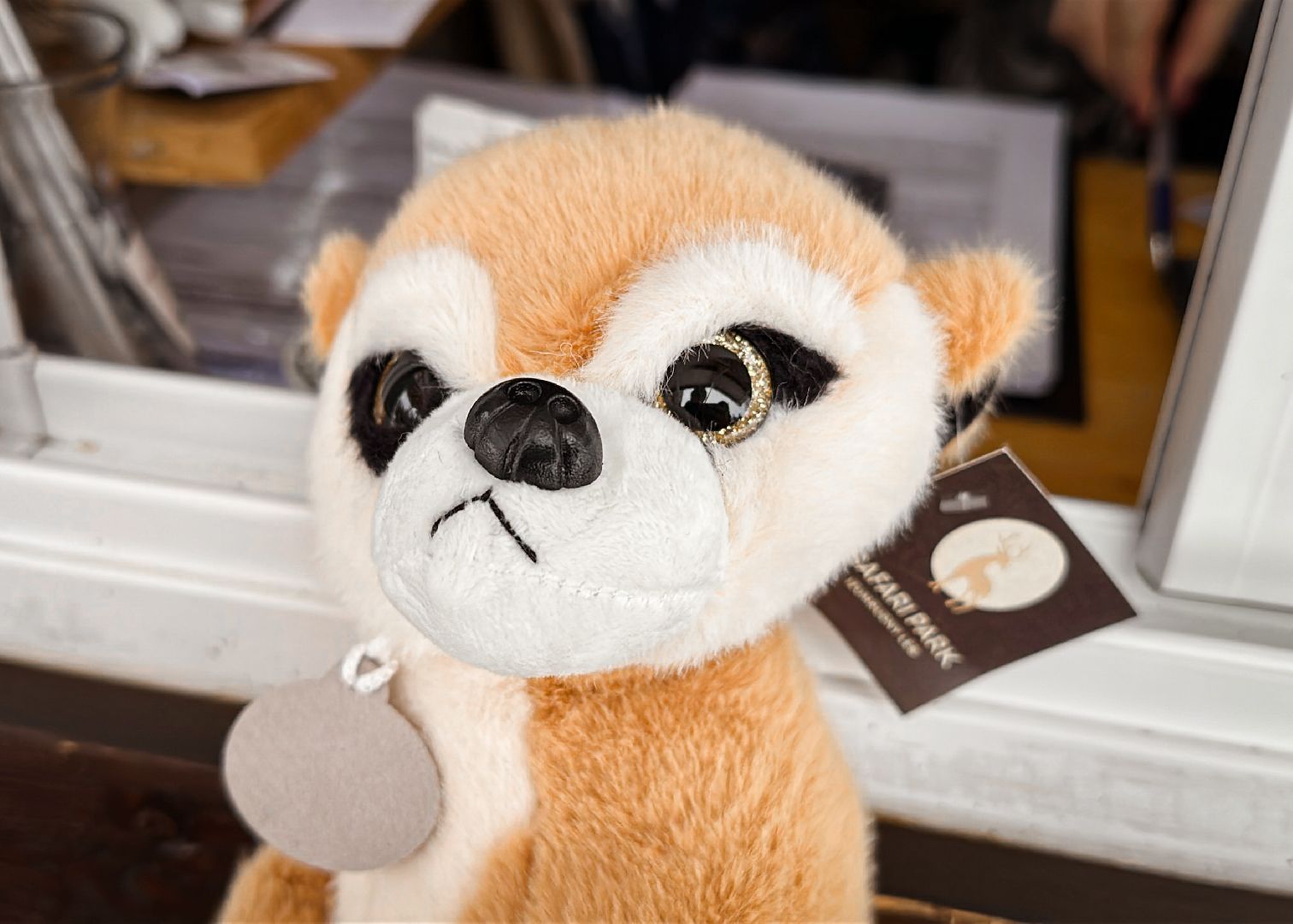 Клин, общество, животные, спасли суриката, вертикалки