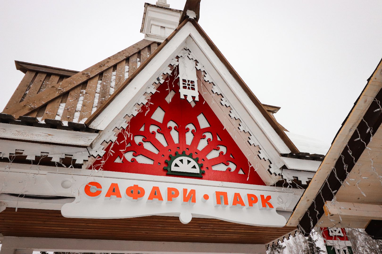 Клин, общество, животные, спасли суриката, вертикалки