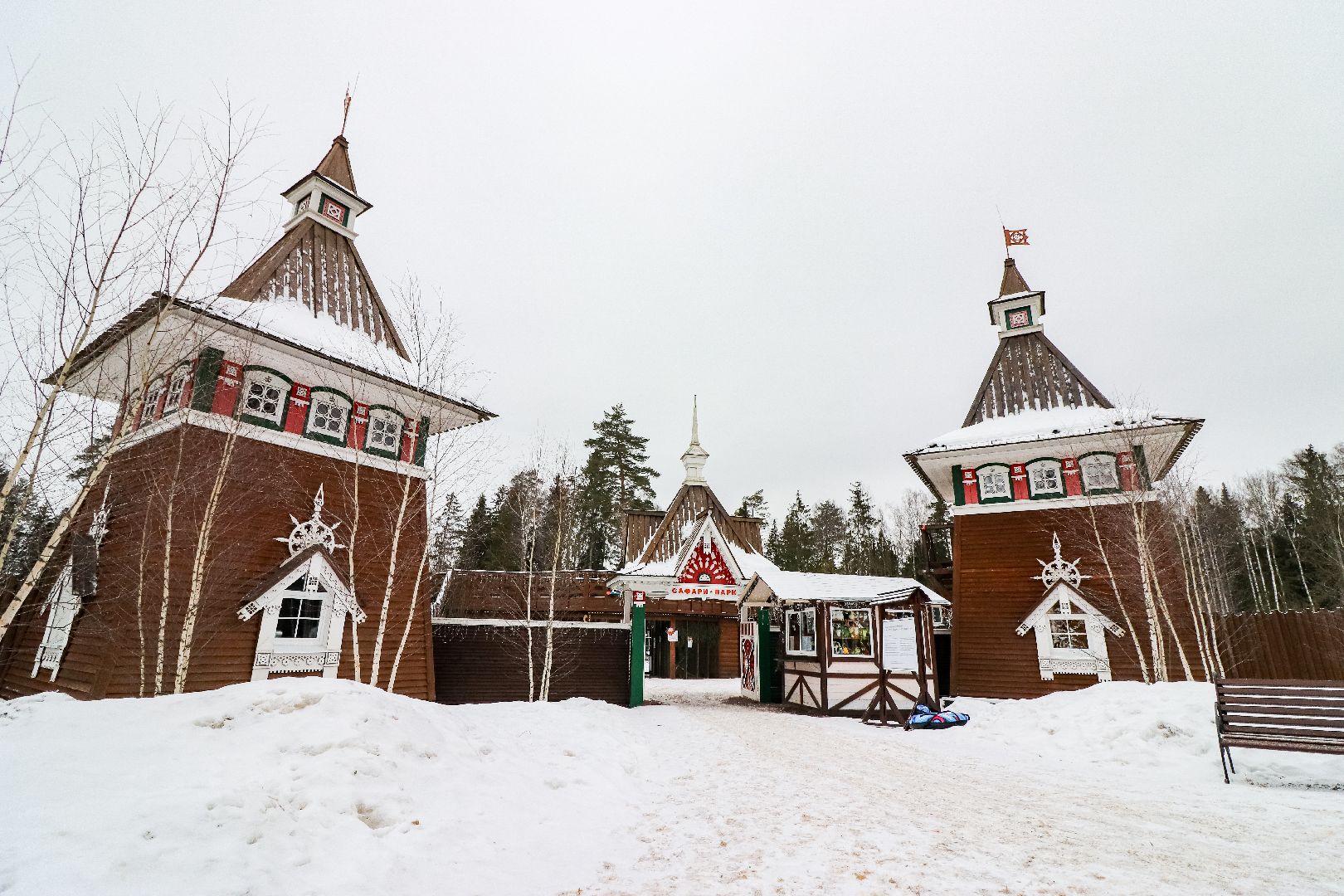 Клин, общество, животные, спасли суриката, вертикалки