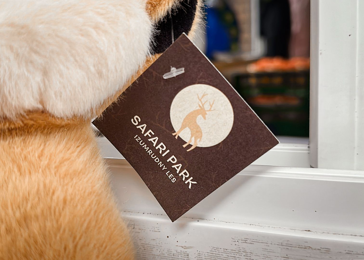 Клин, общество, животные, спасли суриката, вертикалки