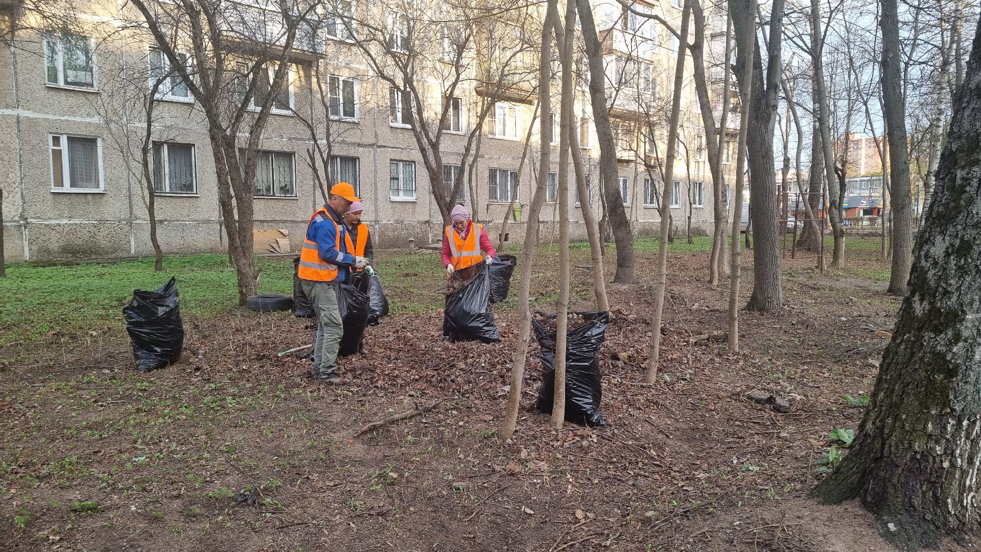 Подмосковье, Ивантеевка, субботник