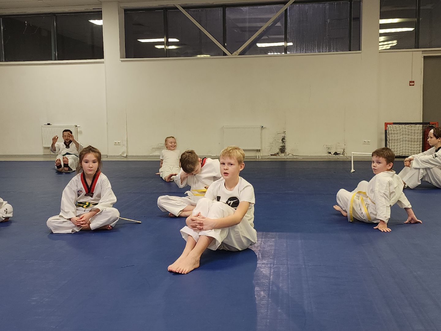 Тхэквондо, Спорт, Кубок, Истра,