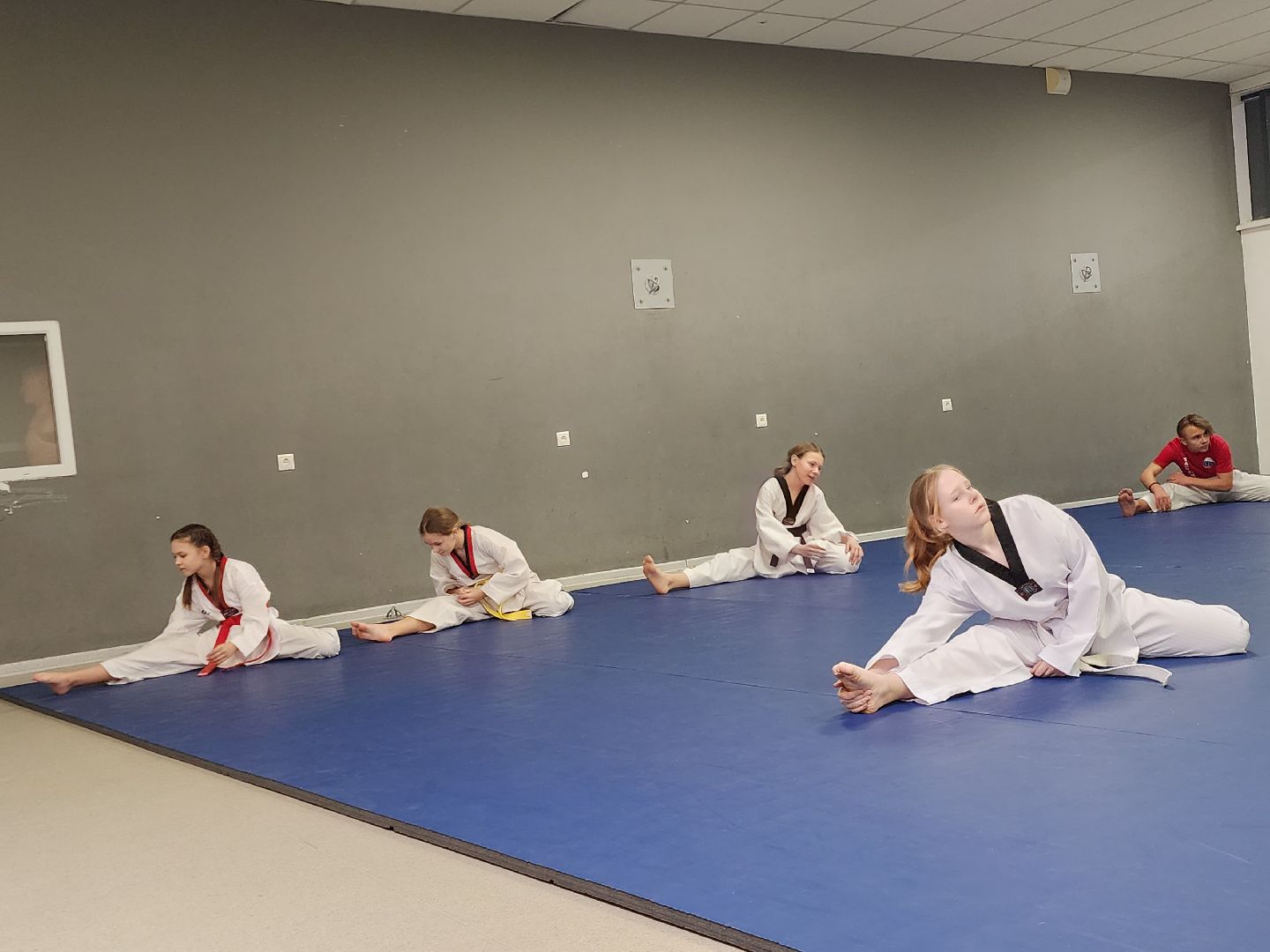 Тхэквондо, Спорт, Кубок, Истра,