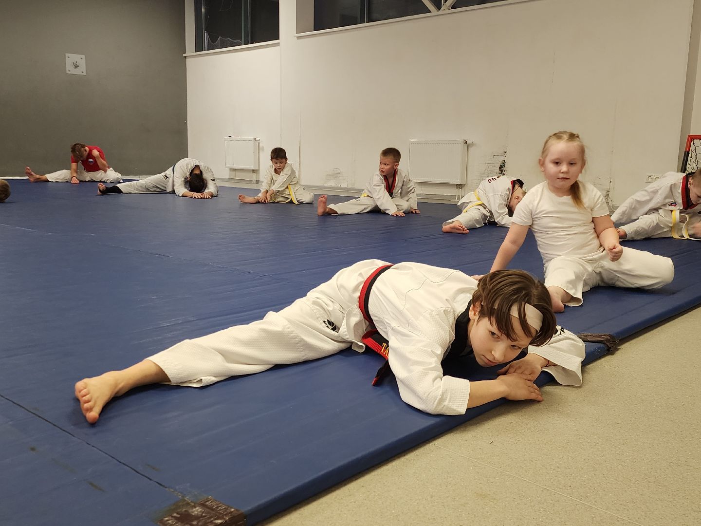 Тхэквондо, Спорт, Кубок, Истра,