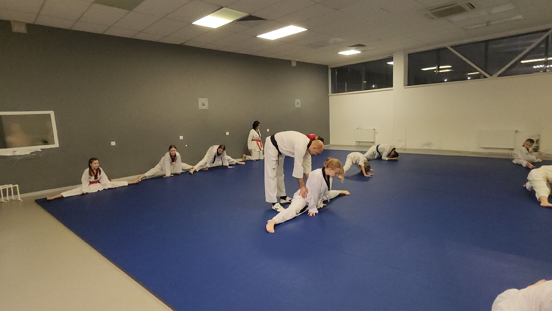 Тхэквондо, Спорт, Кубок, Истра,