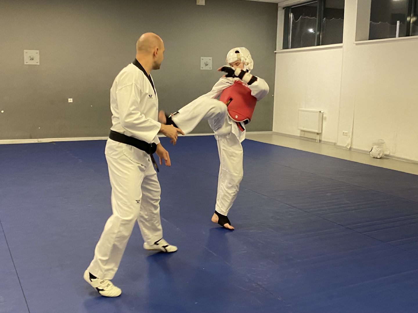 Тхэквондо, Спорт, Кубок, Истра,