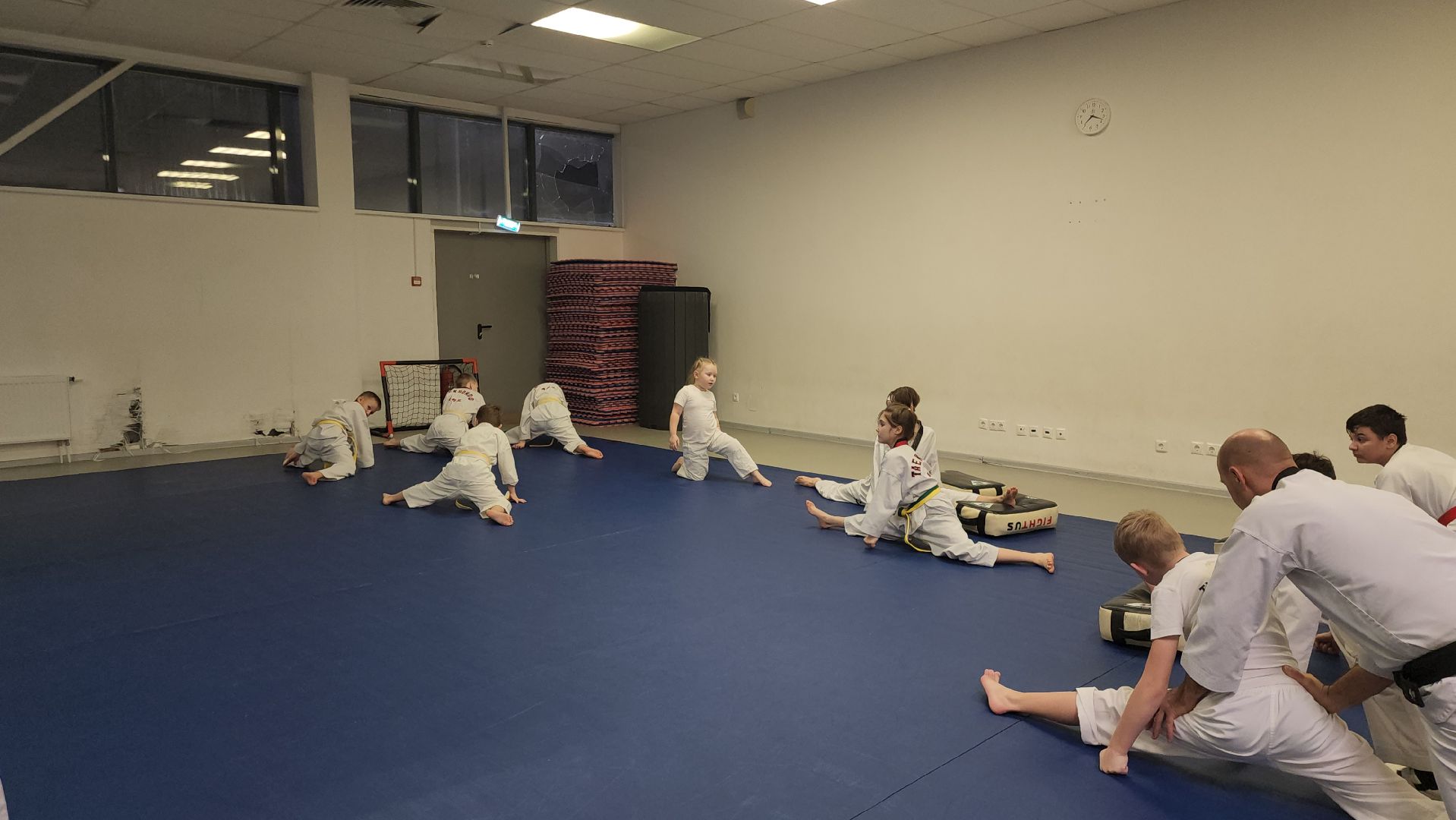 Тхэквондо, Спорт, Кубок, Истра,