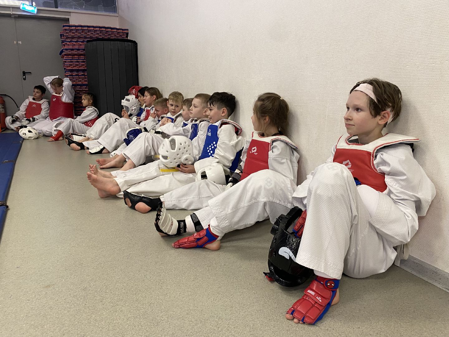 Тхэквондо, Спорт, Кубок, Истра,