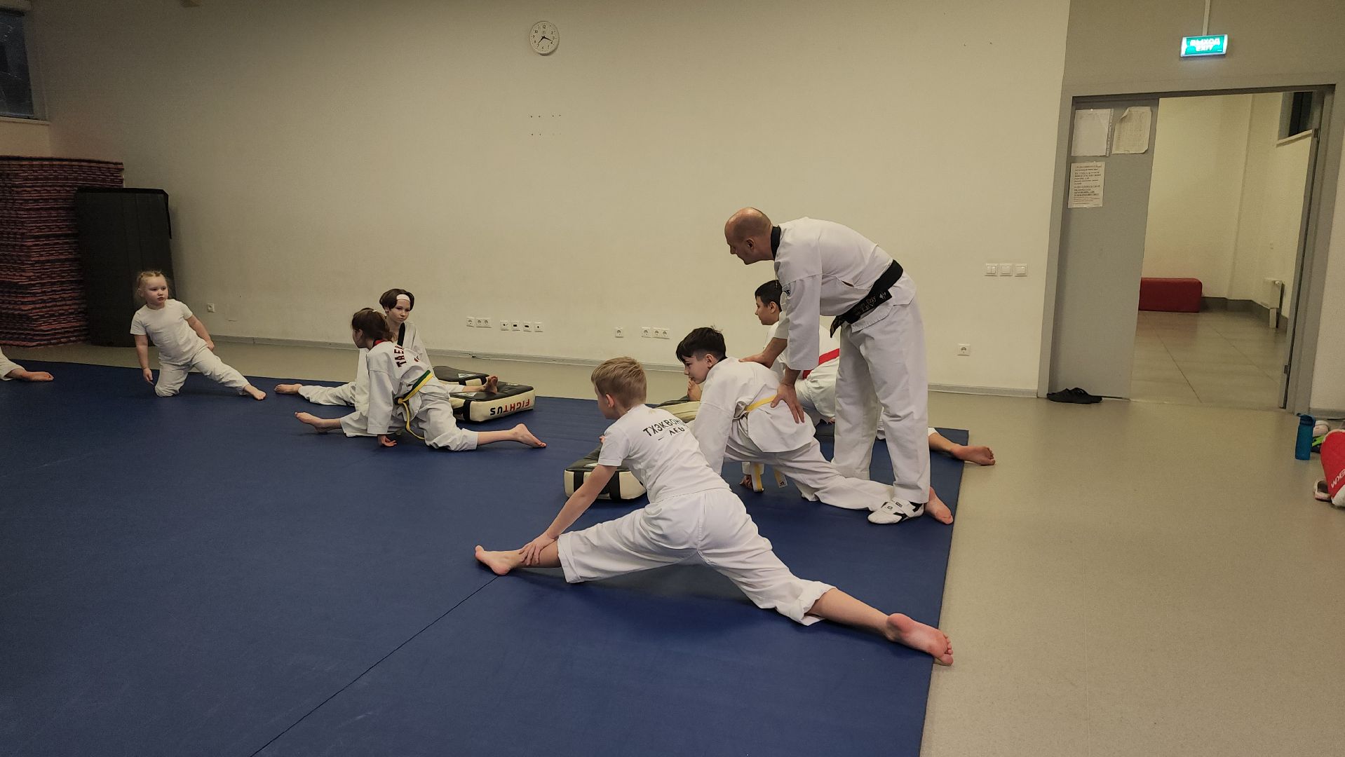 Тхэквондо, Спорт, Кубок, Истра,