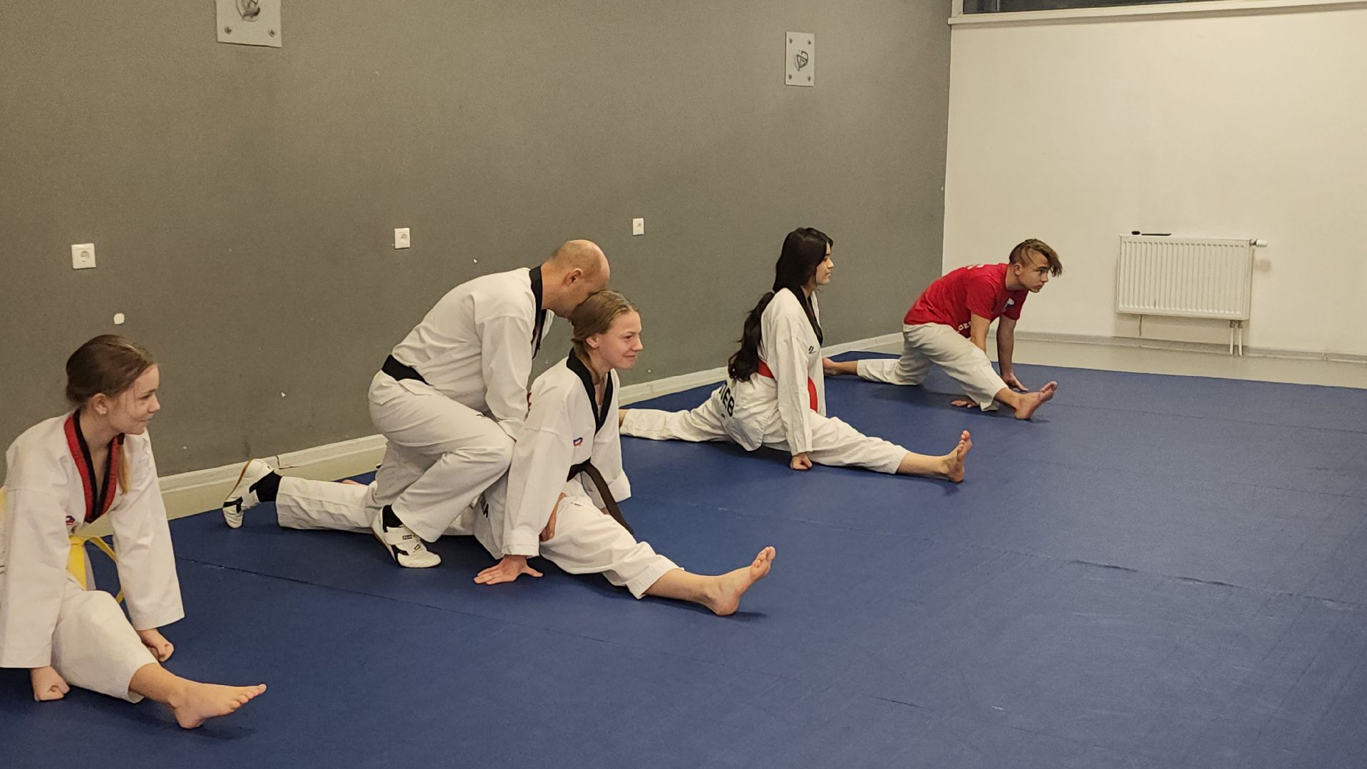 Тхэквондо, Спорт, Кубок, Истра,