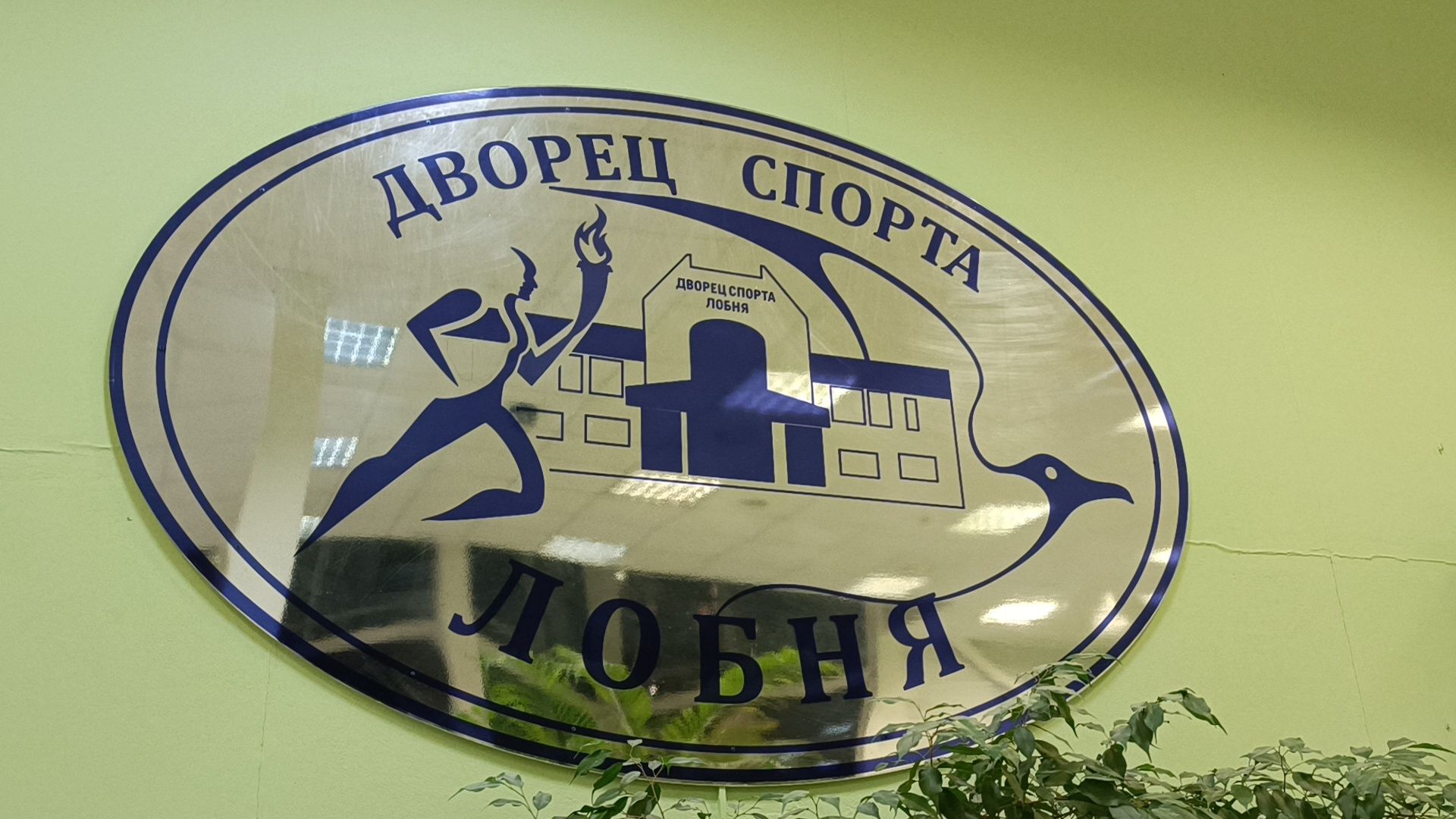 лобня, день студента, каток, вертикалки,