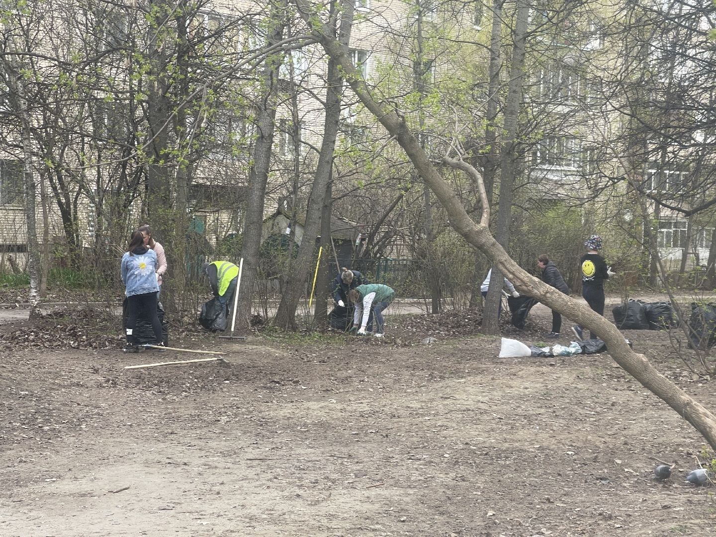 Лесной городок, Одинцово, благоустройство, субботник, администрация, ЖКХ, граждане