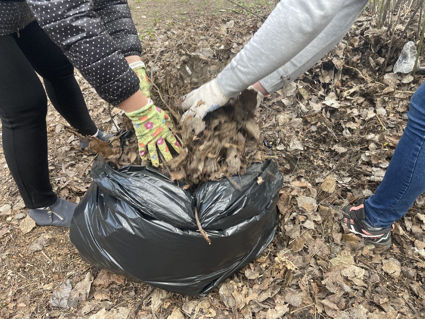 Лесной городок, Одинцово, благоустройство, субботник, администрация, ЖКХ, граждане