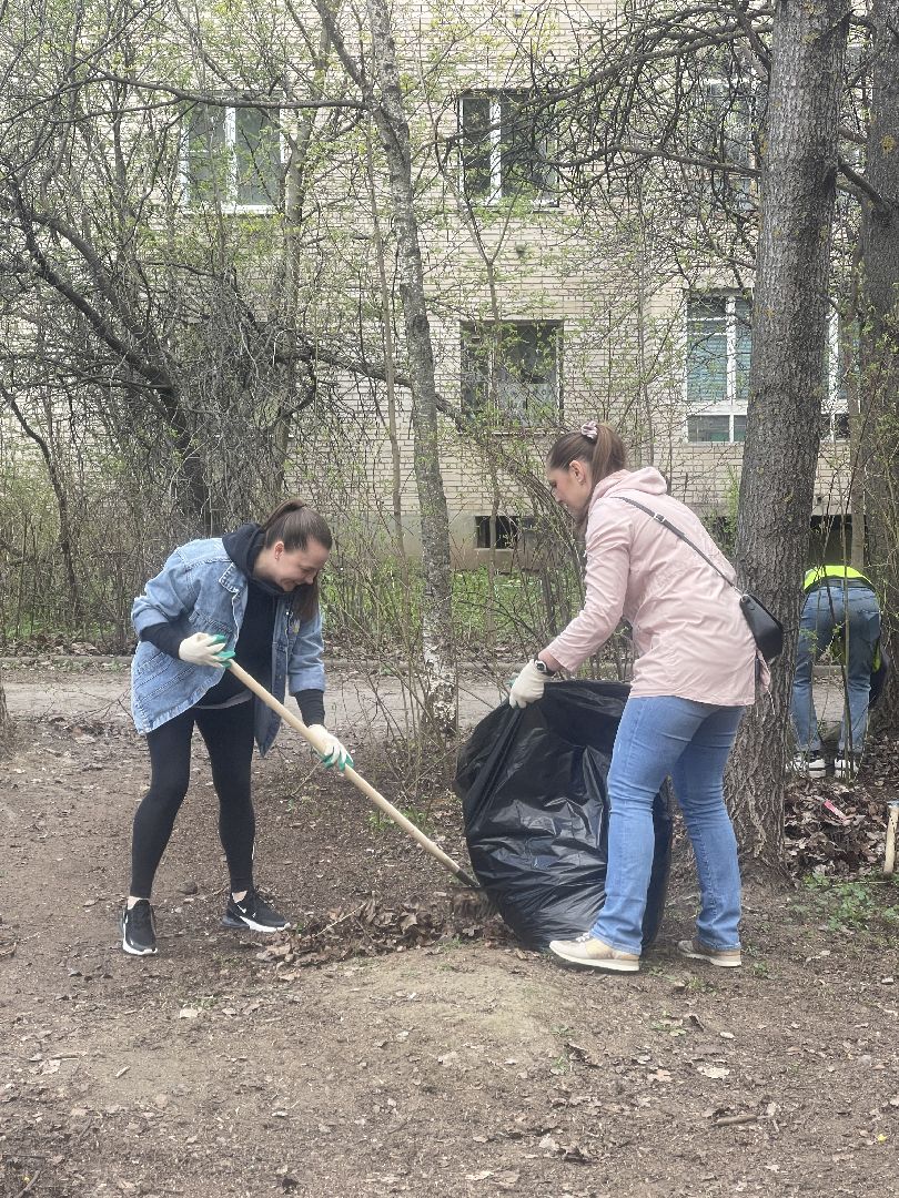 Лесной городок, Одинцово, благоустройство, субботник, администрация, ЖКХ, граждане