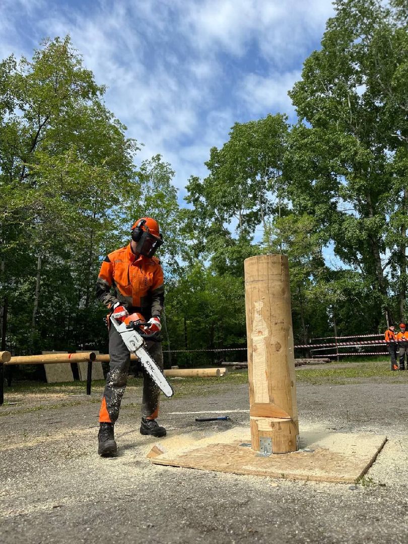 техникум, лесное хозяйство, студент, соревнования, профессиональное образование,