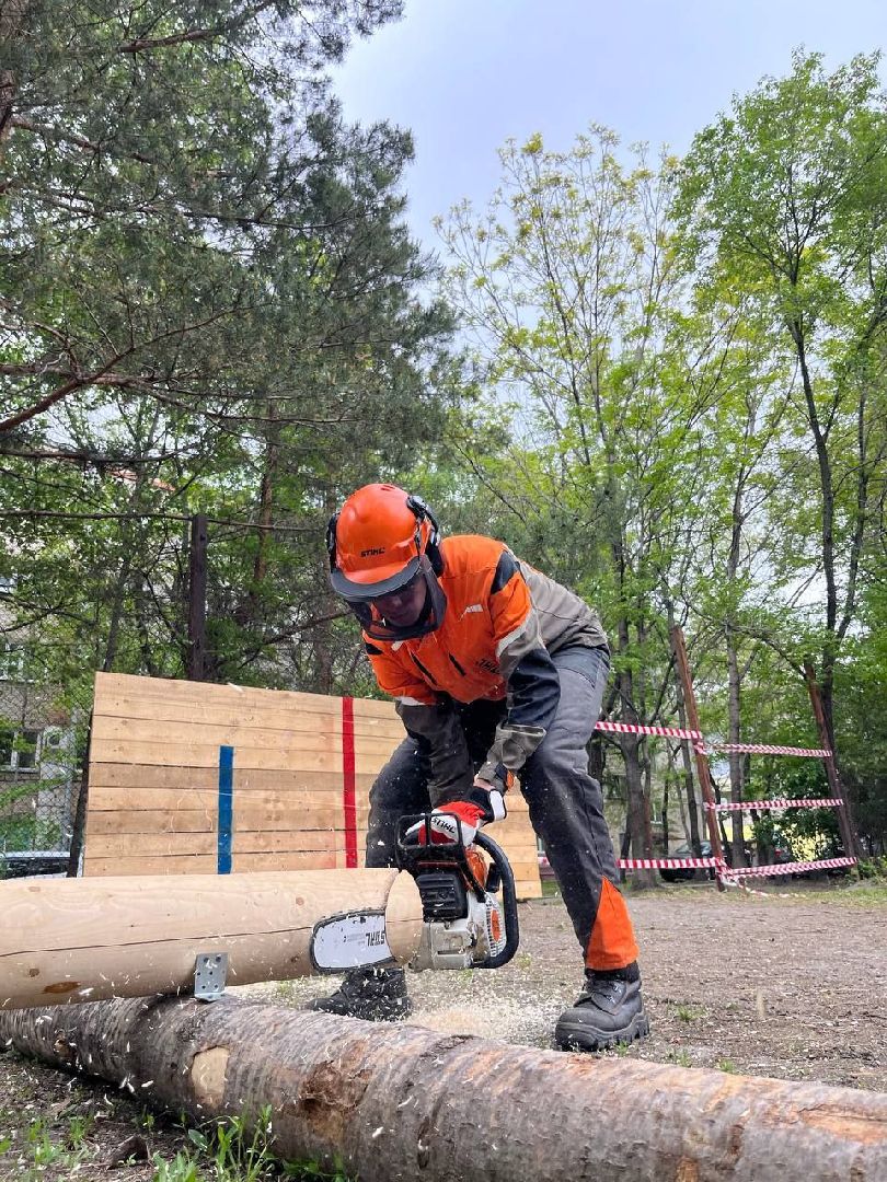 техникум, лесное хозяйство, студент, соревнования, профессиональное образование,