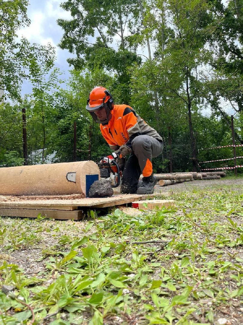 техникум, лесное хозяйство, студент, соревнования, профессиональное образование,