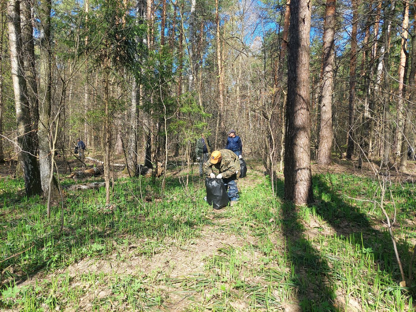 благоустройство, субботник, РИАМО, МИСК