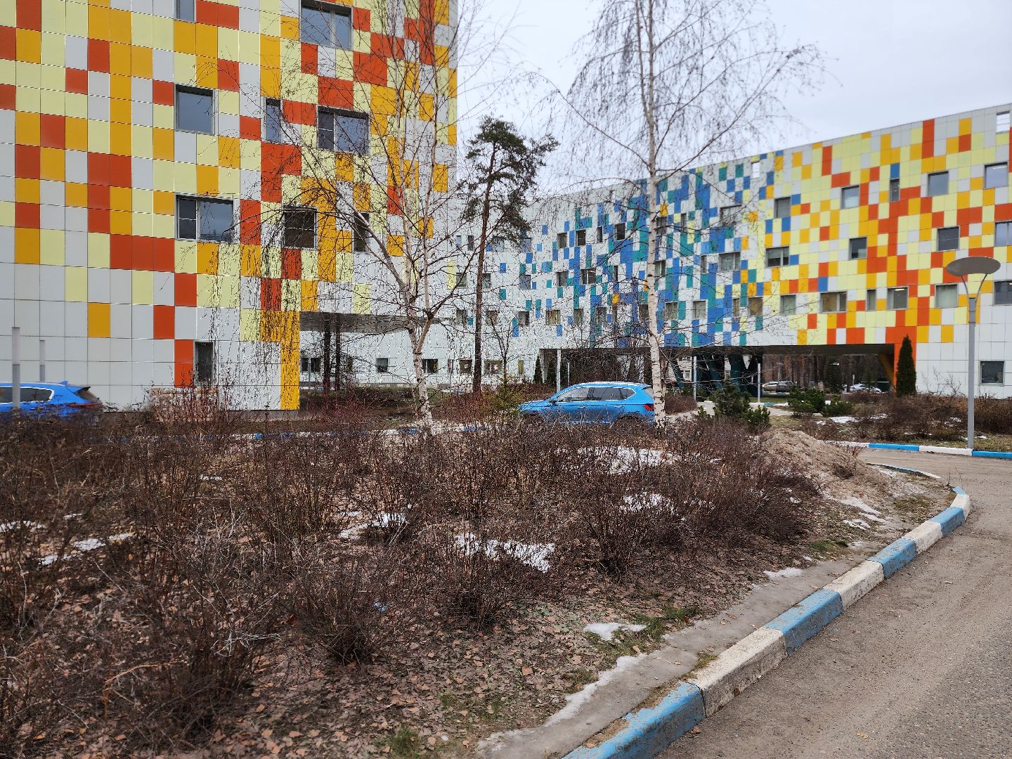 раменское, медицина, центр материнства и детства, партнерские роды,