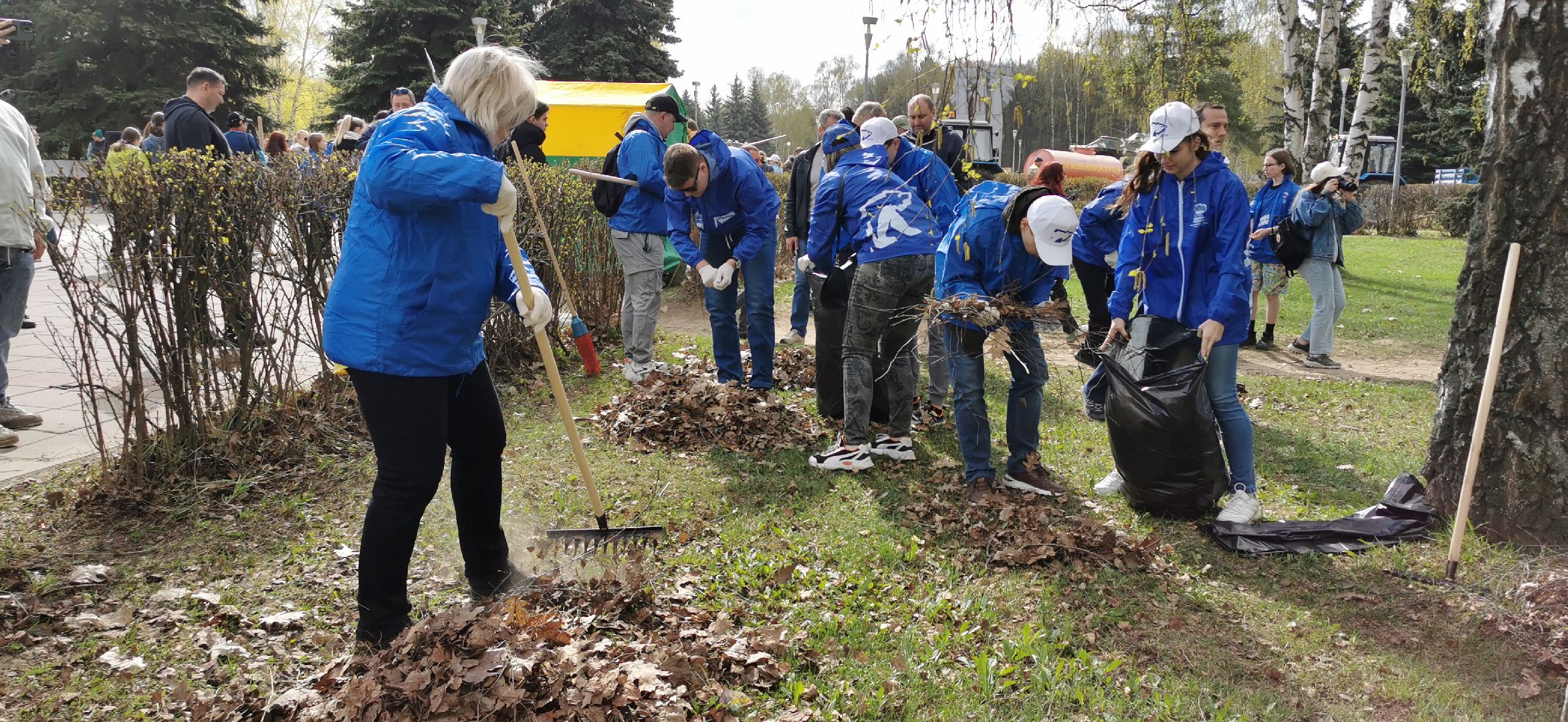 субботник, благоустройство