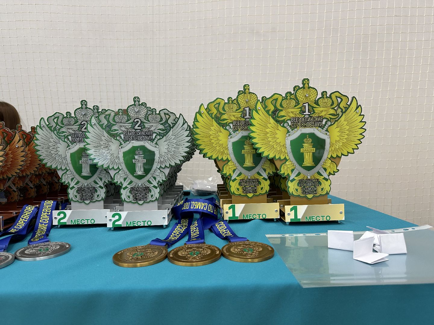 самбо, спорт, соревнования,