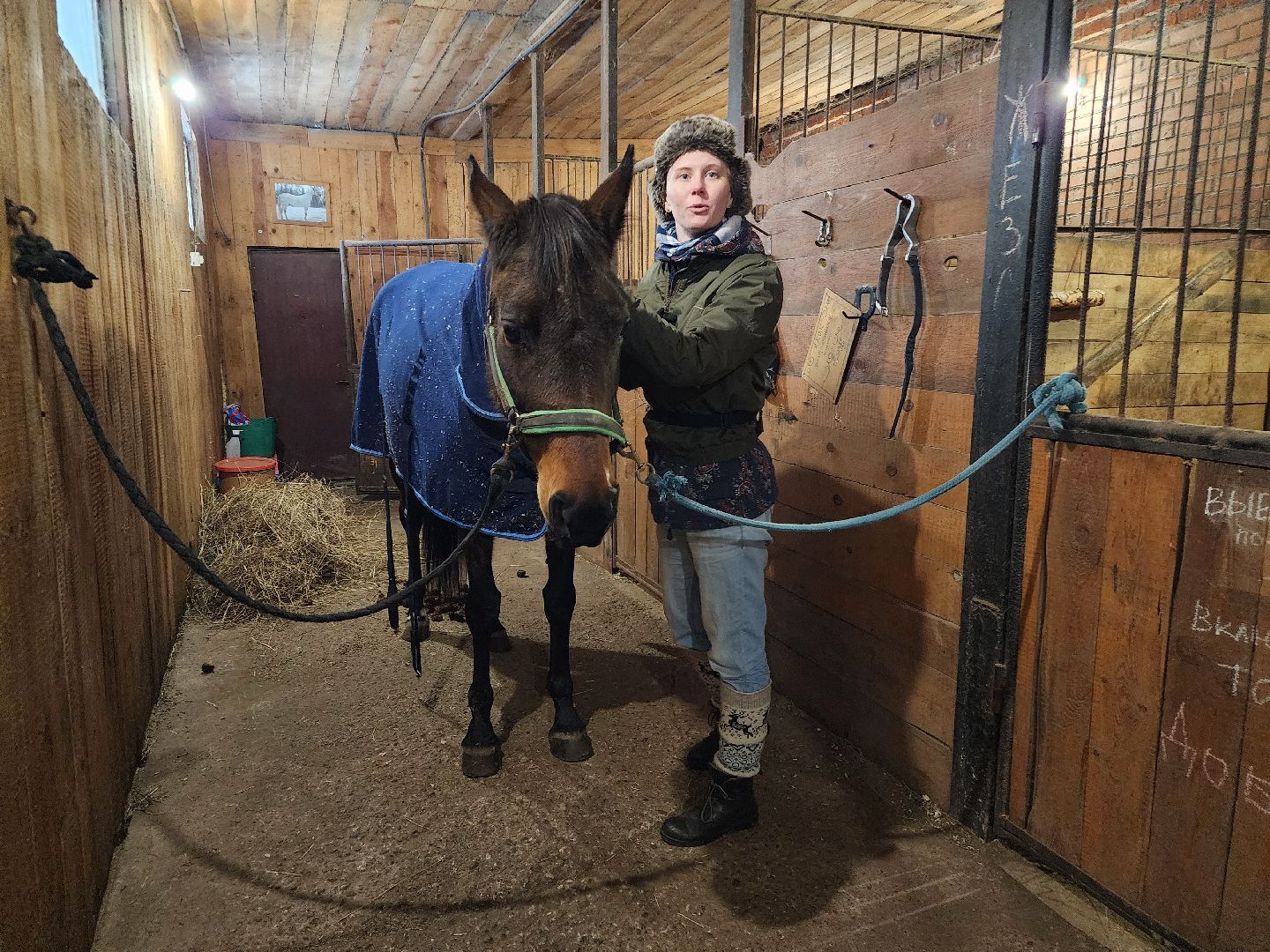 фрязино, лошади, конно-спортивная школа, массаж,