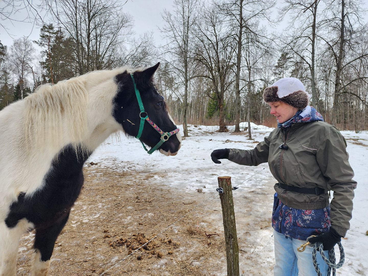 фрязино, лошади, конно-спортивная школа, массаж,